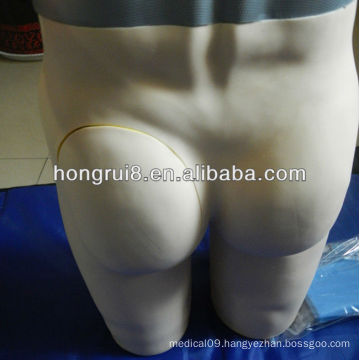 ISO Advanced Buttocks Injection Model, Buttocks Intramuscular Injection Training simulator